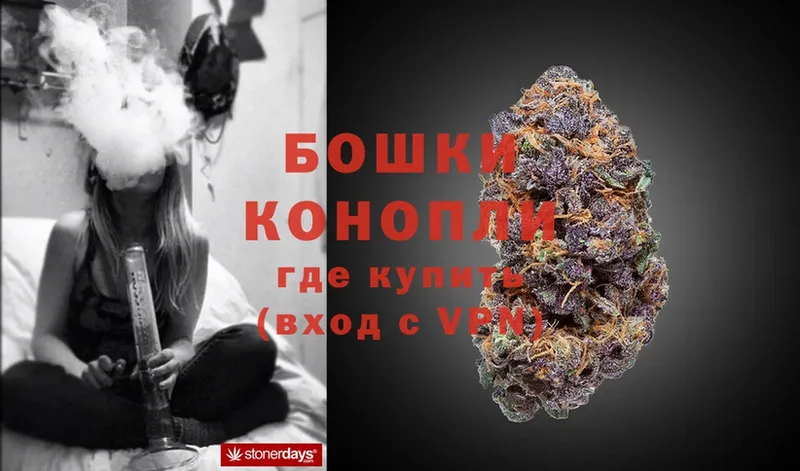 Бошки Шишки план  Гулькевичи 